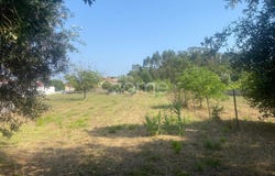 Cantanhede, Coimbra District