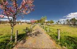 Vila Verde, Braga