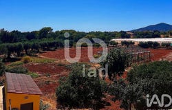 Faro, Algarve