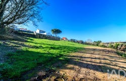 Leiria, Leiria District