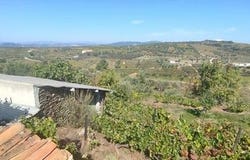 Tabuaço, Viseu 5120-064