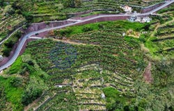 Madalena Do Mar, Madeira 9360