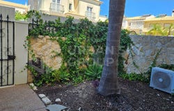 Montenegro, Algarve 8005