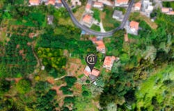 Ilha da Madeira, Madeira