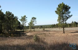 Grândola e Santa Margarida da Serra, Setúbal 7570