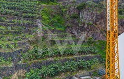 Ribeira Brava, Madeira