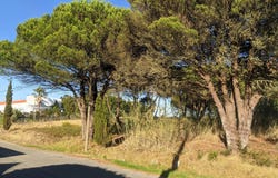 Nadadouro, Leiria District