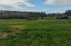 Vila do Conde, Porto 4485-259