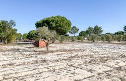 Grândola e Santa Margarida da Serra, Setubal