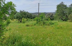 Boliqueime, Algarve 8100