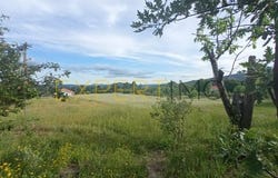 Guarda, Guarda