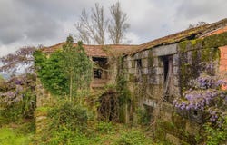 Várzea, Braga
