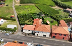Castelo Branco, Autonomous Region of the Azores 9900