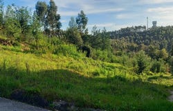 Coimbra, Coimbra District 3040-111