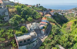 Câmara de Lobos, Madeira