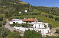 Peso da Régua, Vila Real District