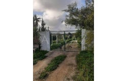 Luz, Algarve