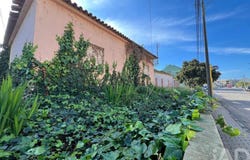 Setúbal, Setubal
