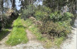 Apúlia e Fão, Braga