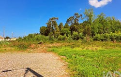 Aveiro, Aveiro District