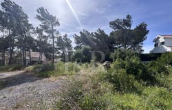 Alcabideche, Lisbon