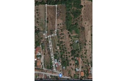 Pereira, Coimbra District