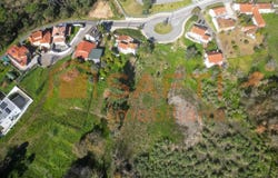 Leiria, Leiria District