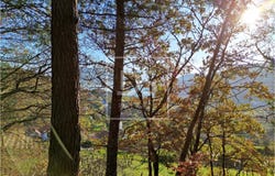 Baião, Porto District