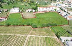 Vila Real, Vila Real District