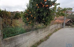 Peso da Régua, Vila Real 5050-022