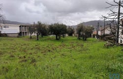 Belmonte, Castelo Branco 6250-171