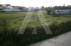 Aradas, Aveiro District