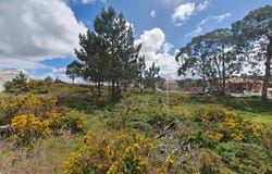 Foz Do Arelho, Leiria 2500