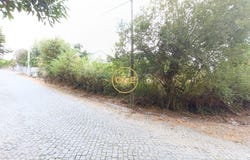 BALANÇA, Braga