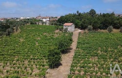 Viseu, Viseu District