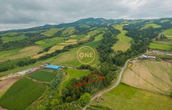 REMÉDIOS, Azores