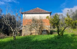 Pombal, Leiria District