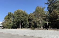 Vila Real, Vila Real District