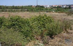 A dos Cunhados e Maceira, Lisbon 2560