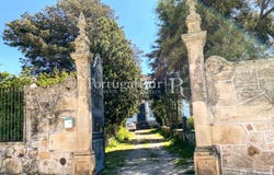 Idanha-a-Nova e Alcafozes, Castelo Branco 6060