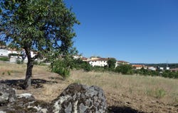 Curalha, Vila Real District