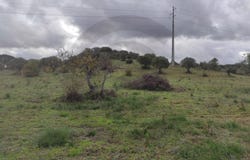 Pedrógão, Santarém District