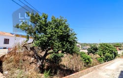 Barão De São Miguel, Algarve 8650