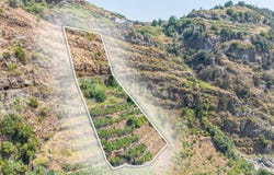 Funchal, Madeira