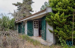 Setúbal, Setubal