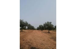 Beringel, Beja District