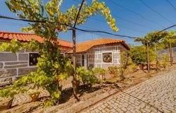Viseu, Viseu District 4690
