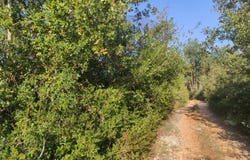 Fátima, Santarém District