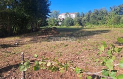 Vila Verde, Braga