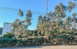 Braga, Braga 4775